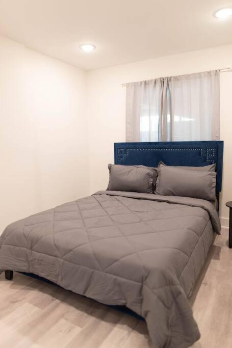 Platinum Palace 1Br 1Ba - Central Dallas Stay Exterior photo